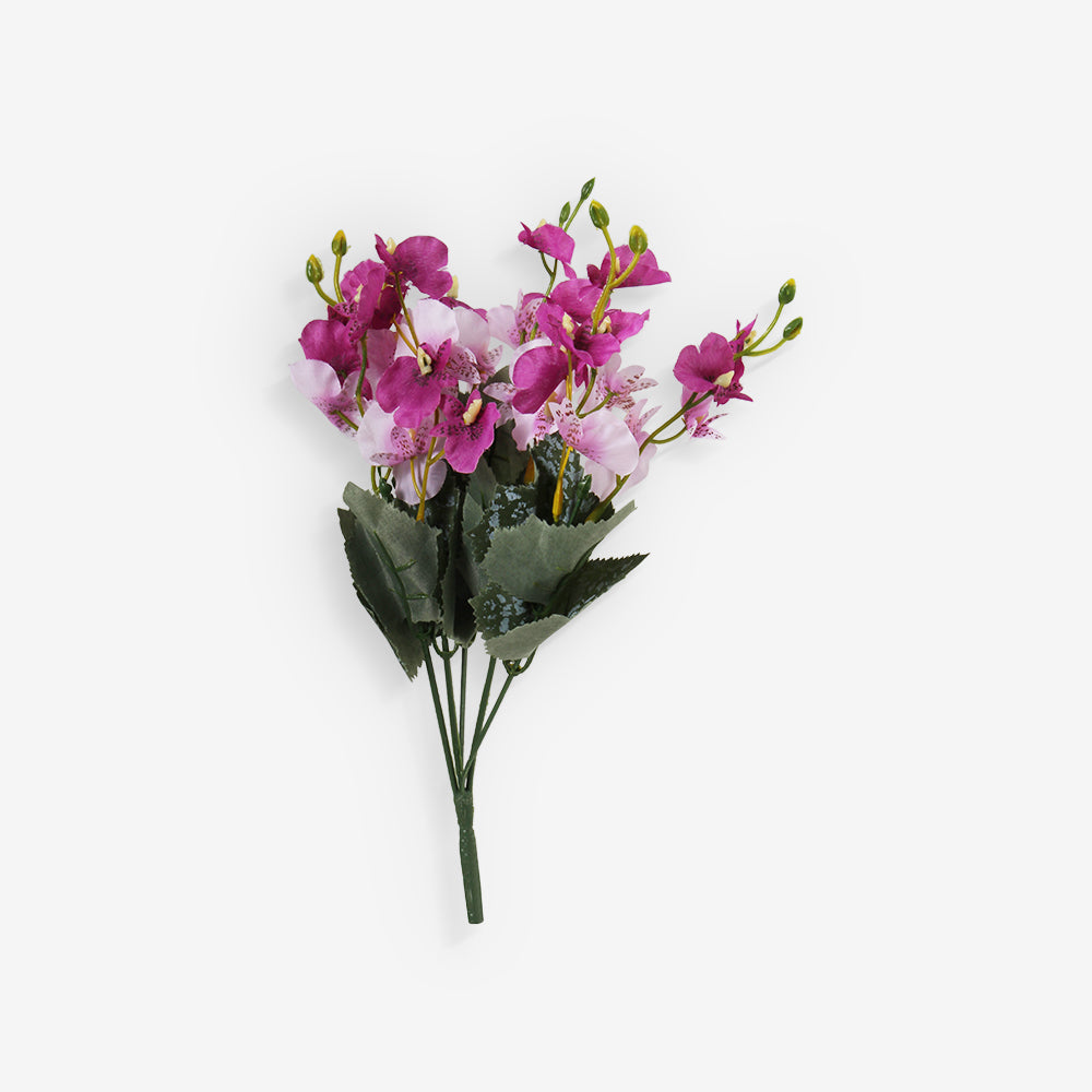 ALAMANDA