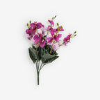 ALAMANDA