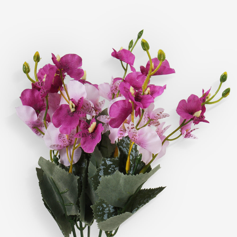 ALAMANDA