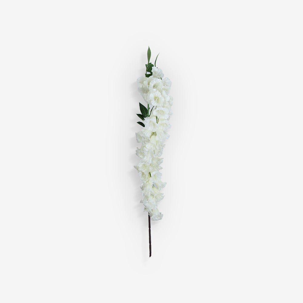 ANGELONIA