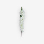 ANGELONIA