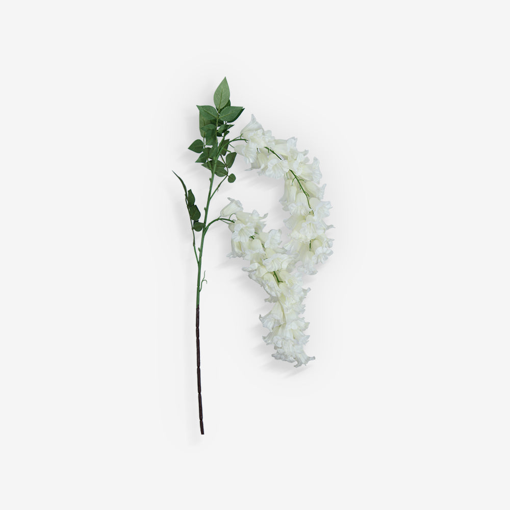 ANGELONIA