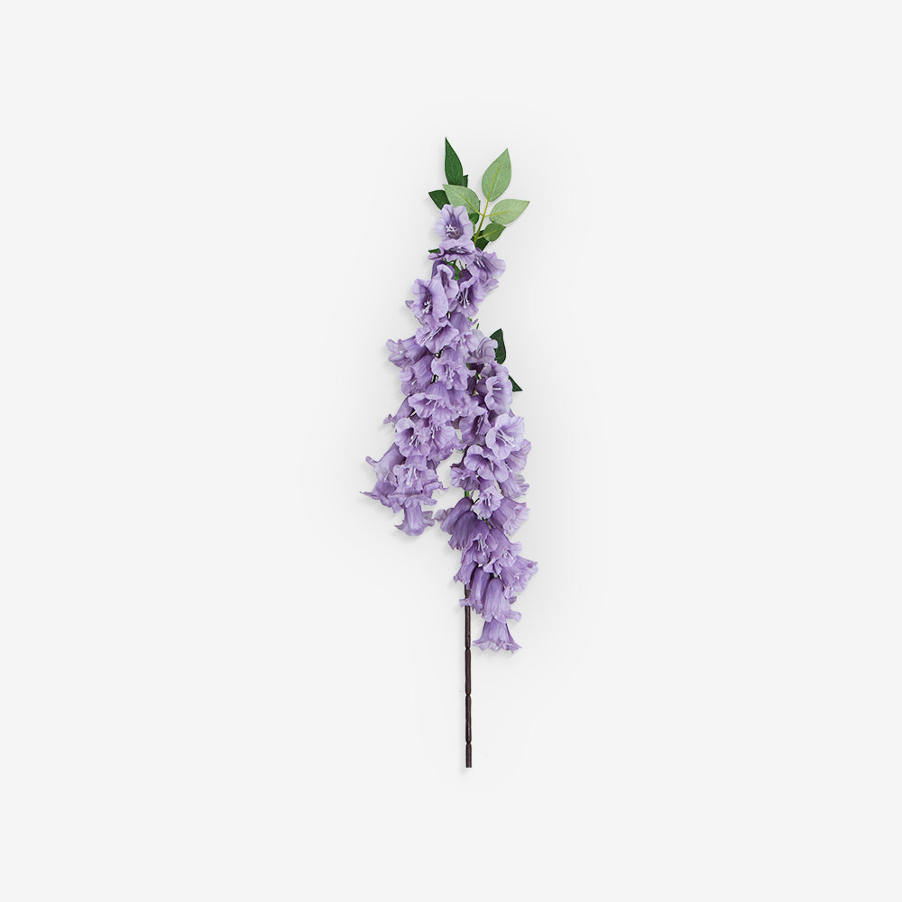 ANGELONIA