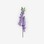 ANGELONIA