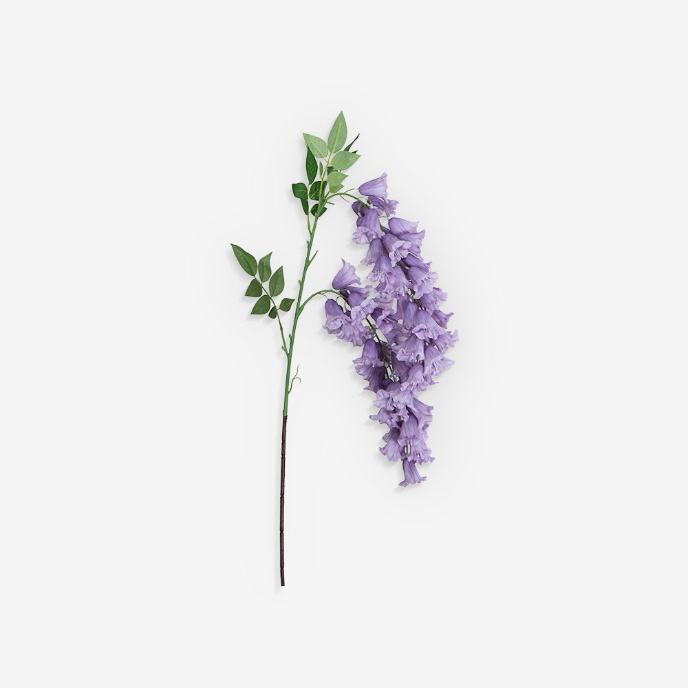 ANGELONIA