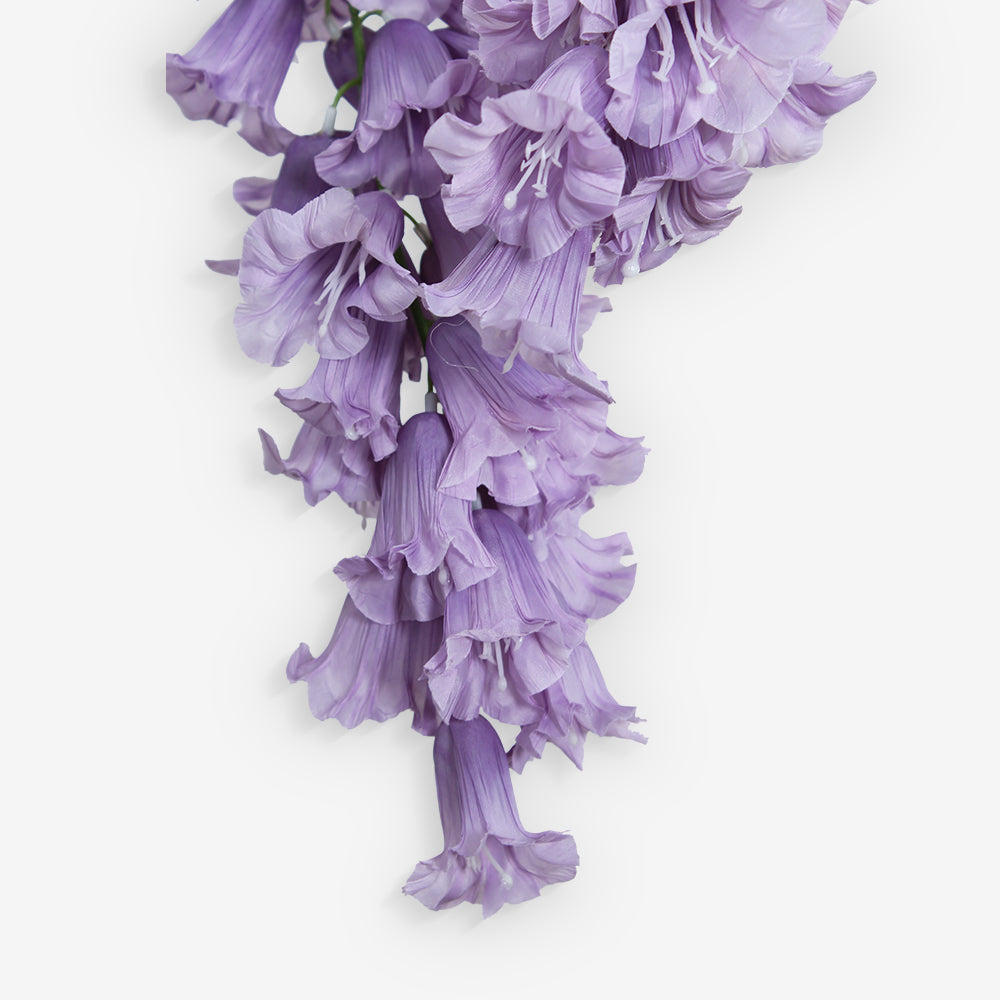 ANGELONIA