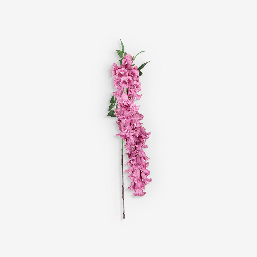 ANGELONIA