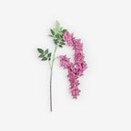ANGELONIA