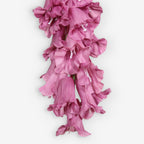 ANGELONIA
