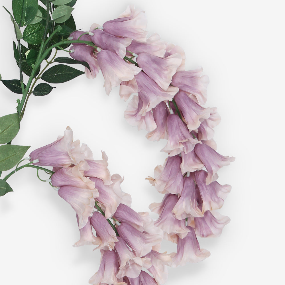 ANGELONIA