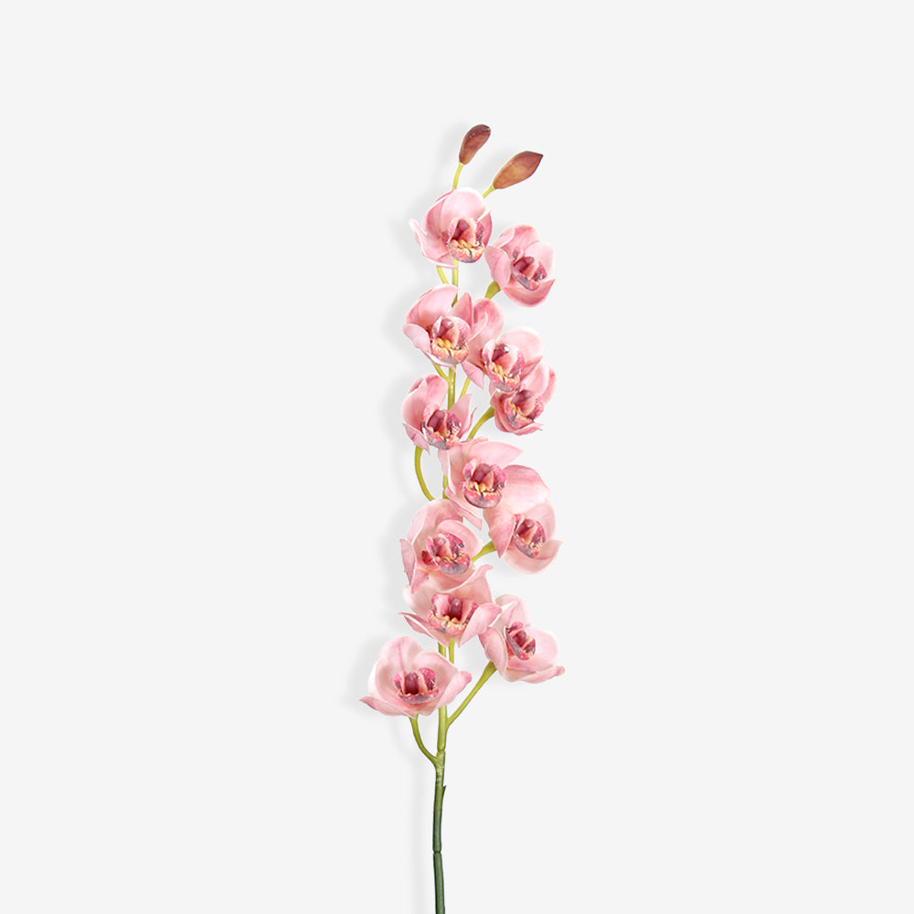 ORCHID