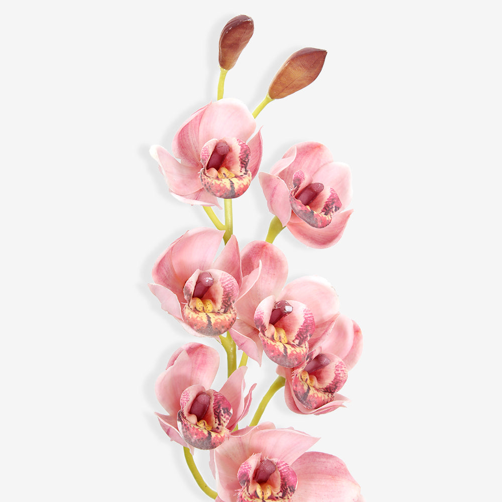 ORCHID