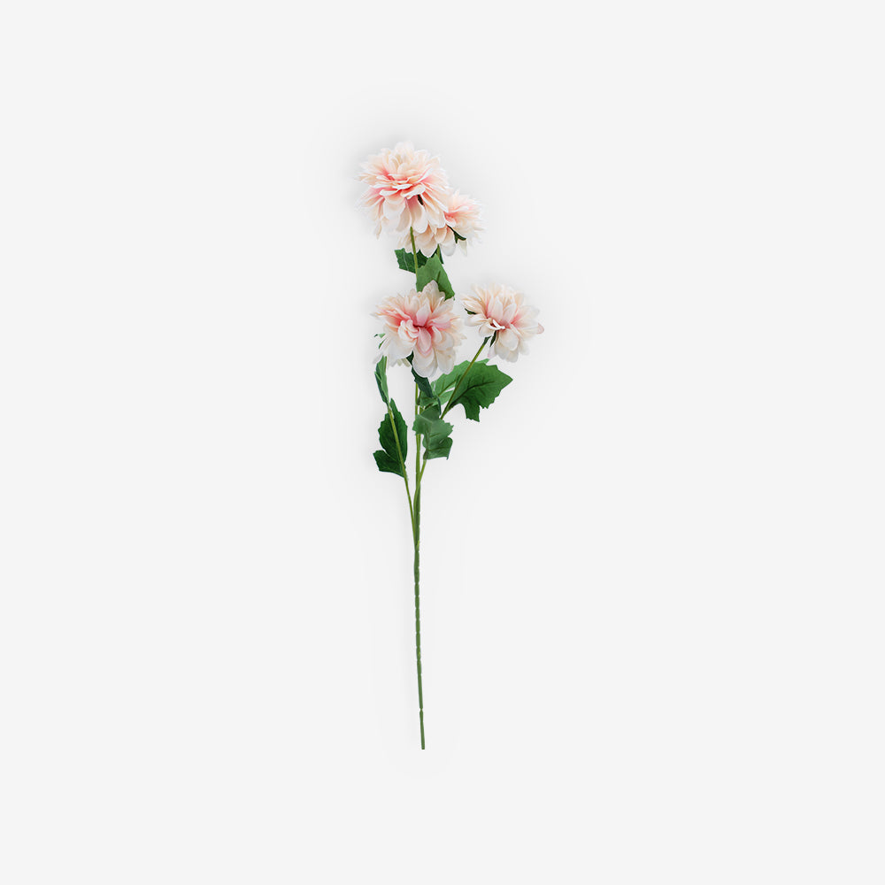 ASTER