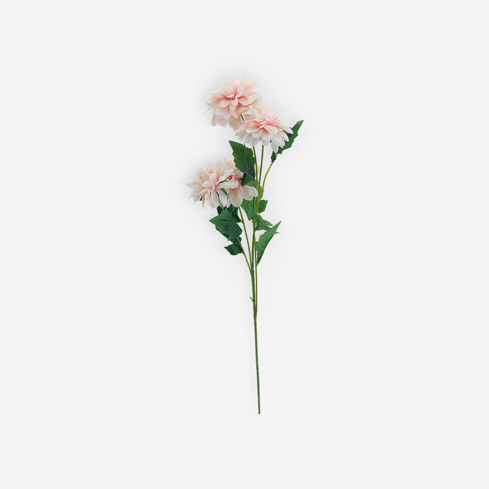 ASTER
