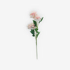 ASTER