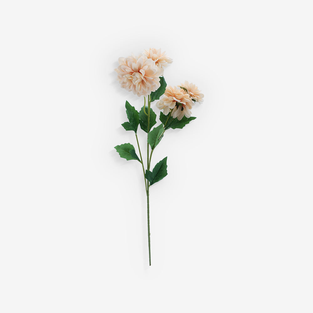 ASTER