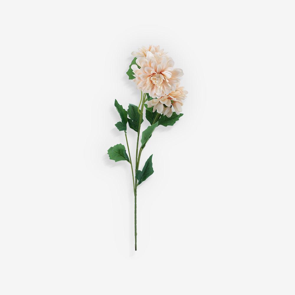 ASTER