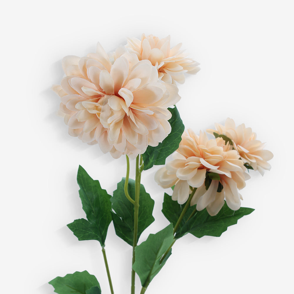 ASTER