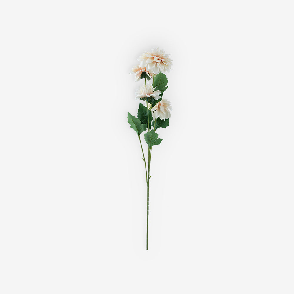 ASTER
