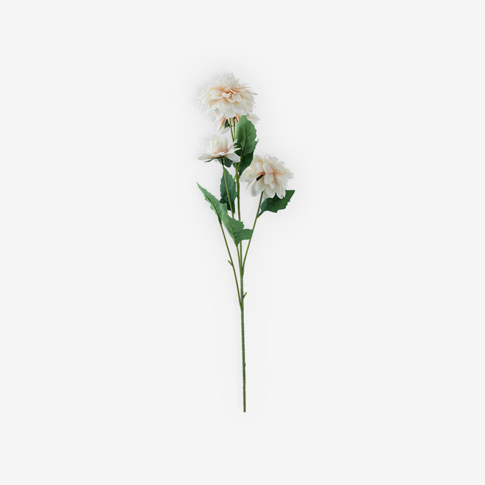 ASTER