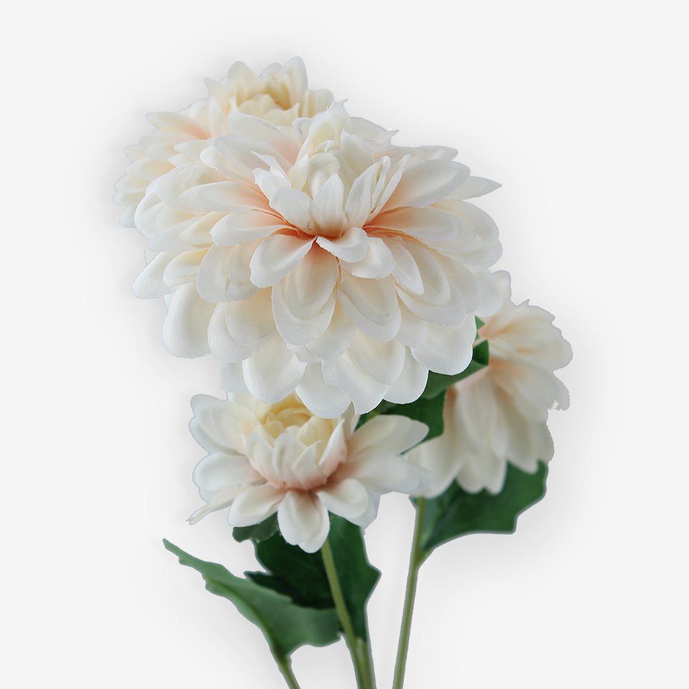 ASTER