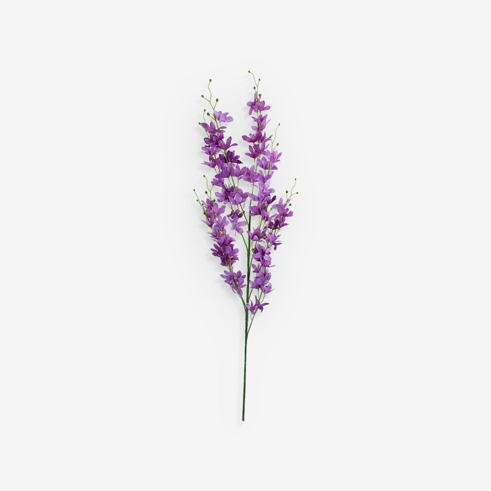 LARKSPUR