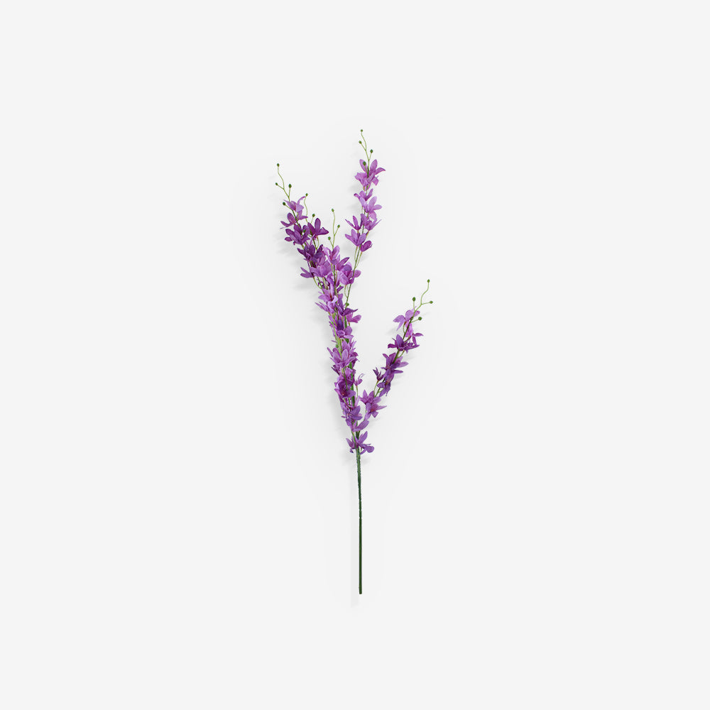 LARKSPUR