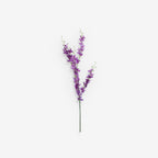 LARKSPUR