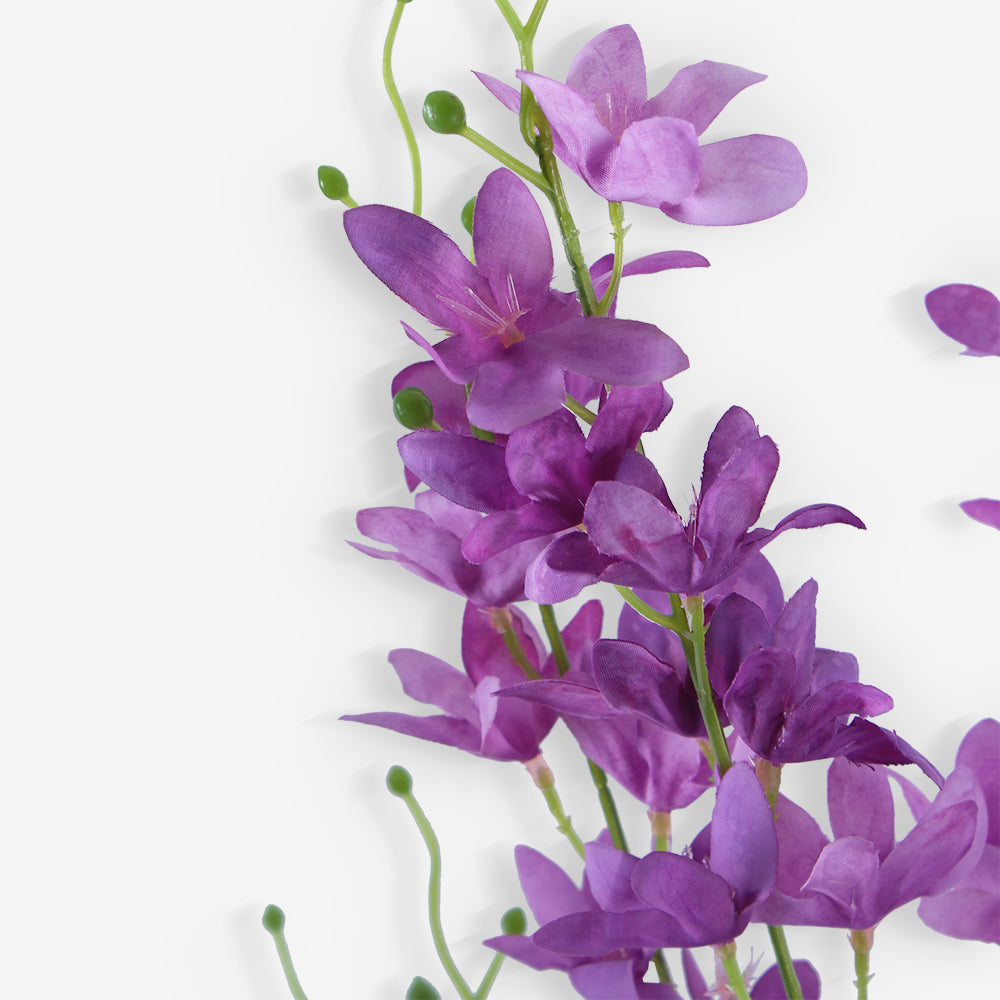 LARKSPUR