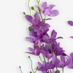LARKSPUR