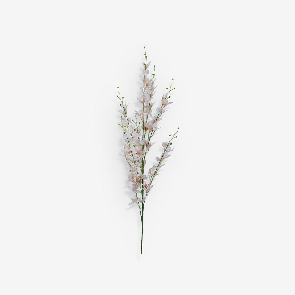 LARKSPUR