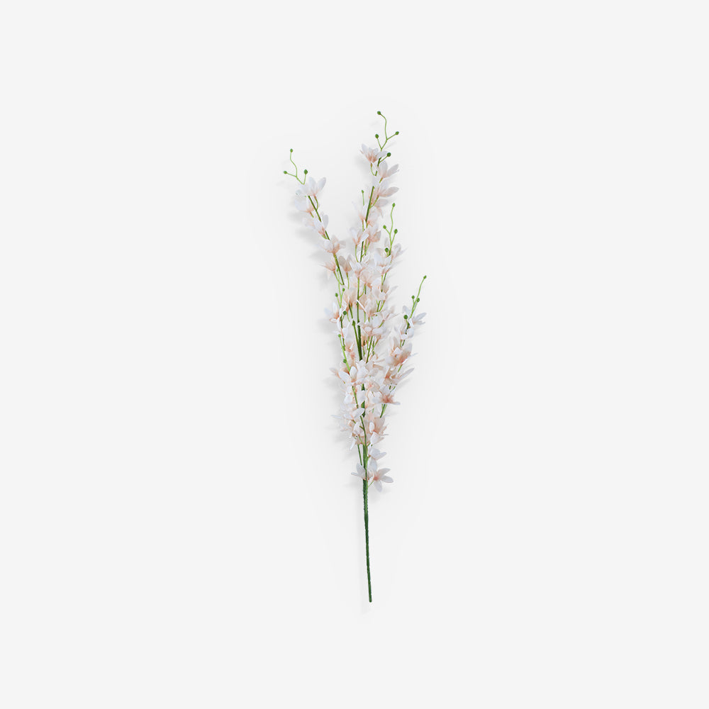 LARKSPUR