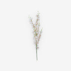 LARKSPUR