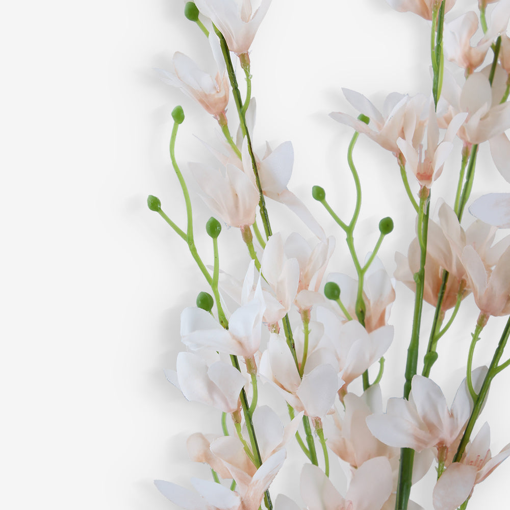 LARKSPUR