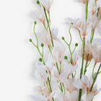 LARKSPUR