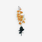 ORCHID
