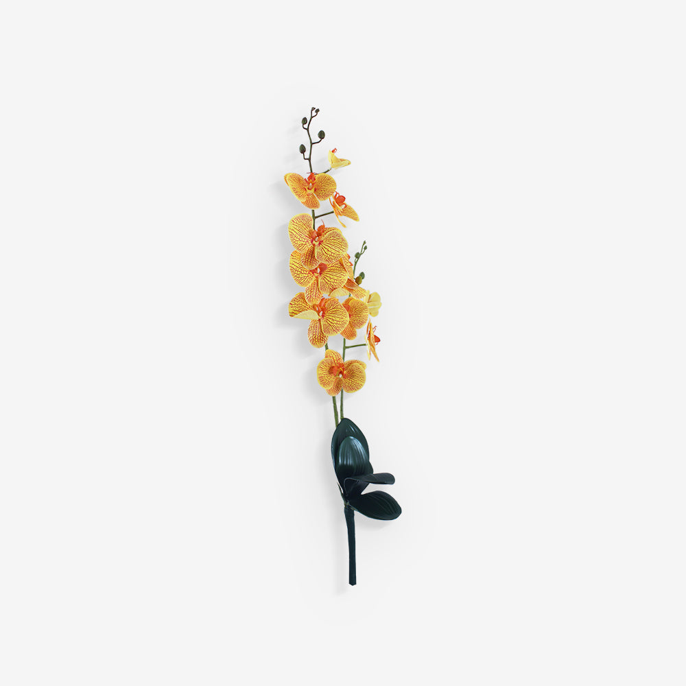 ORCHID