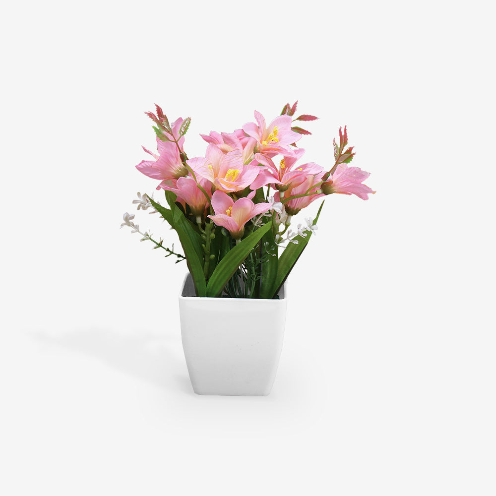 FREESIA
