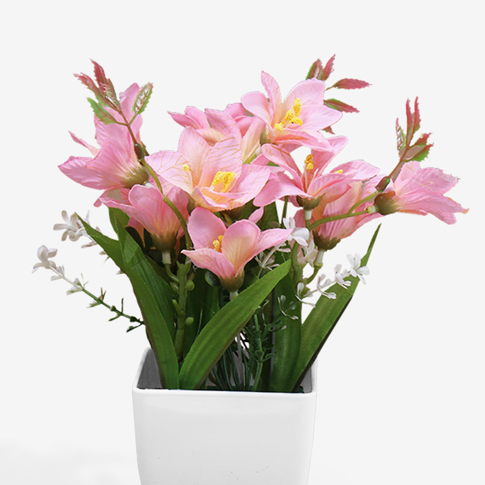 FREESIA
