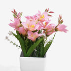 FREESIA