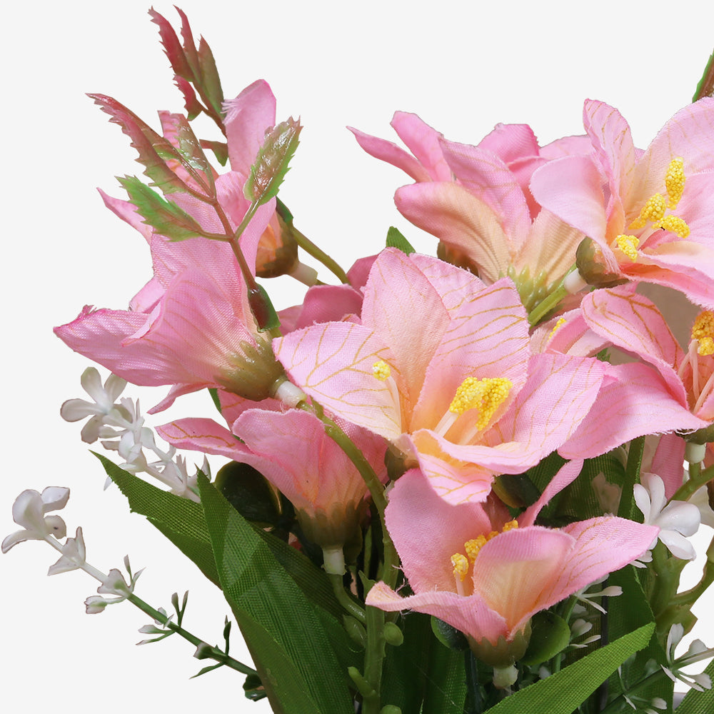 FREESIA