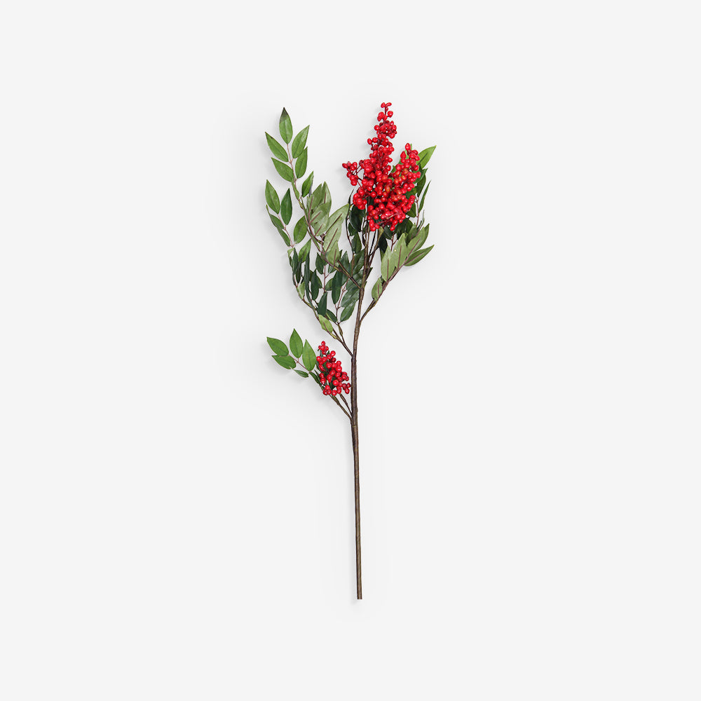 BERRIES
