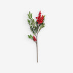 ANGELONIA