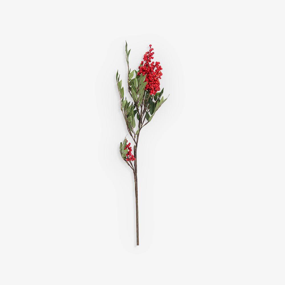 ANGELONIA