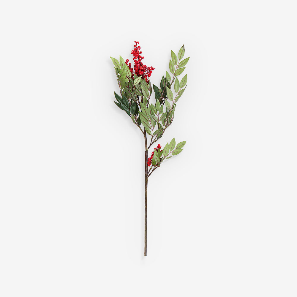 BERRIES