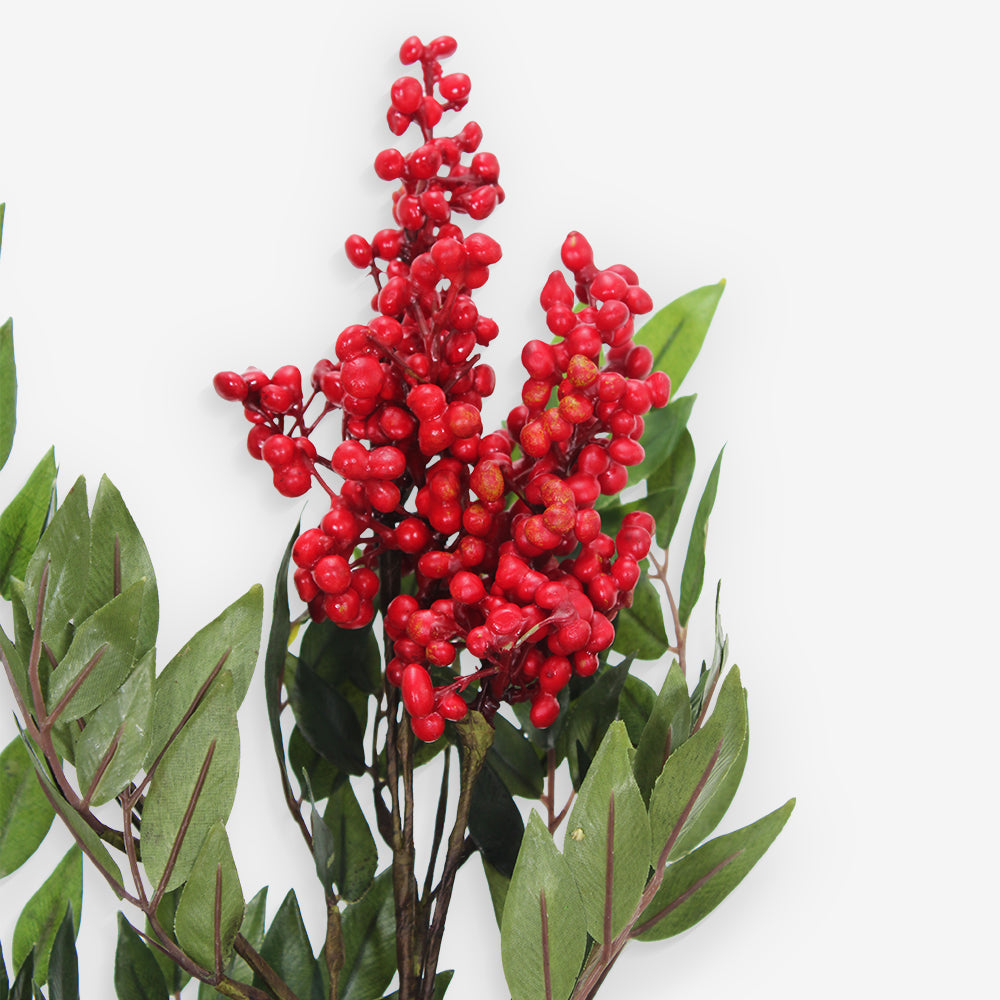 BERRIES