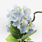PRIMROSE