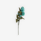 CAMPANULA