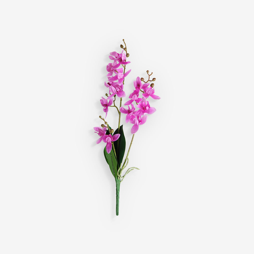 ORCHID