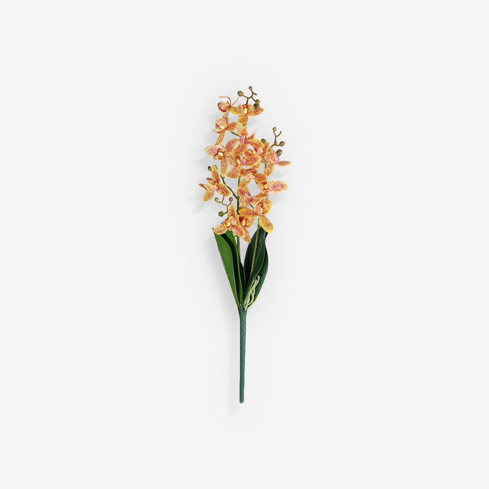 ORCHID